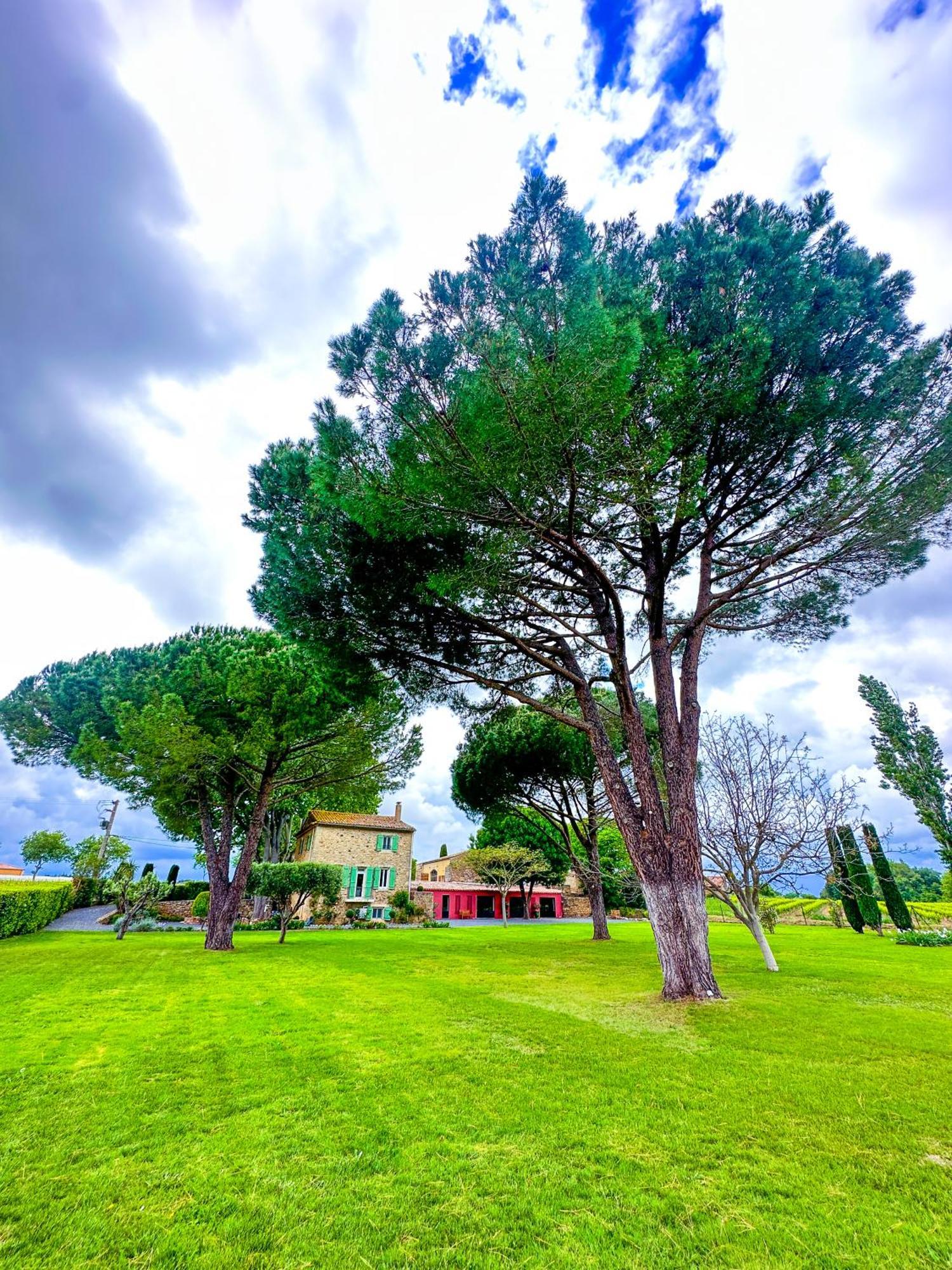 Domaine La Mouline เปเซอนา ภายนอก รูปภาพ